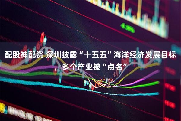配股神配资 深圳披露“十五五”海洋经济发展目标，多个产业被“点名”