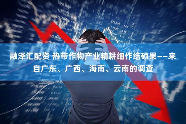 融泽汇配资 热带作物产业精耕细作结硕果——来自广东、广西、海南、云南的调查