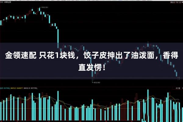 金领速配 只花1块钱，饺子皮抻出了油泼面，香得直发愣！