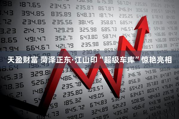 天盈财富 菏泽正东·江山印“超级车库”惊艳亮相